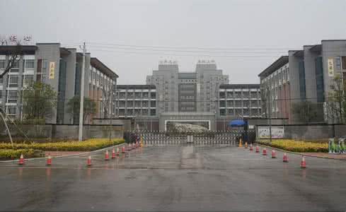 業務領域